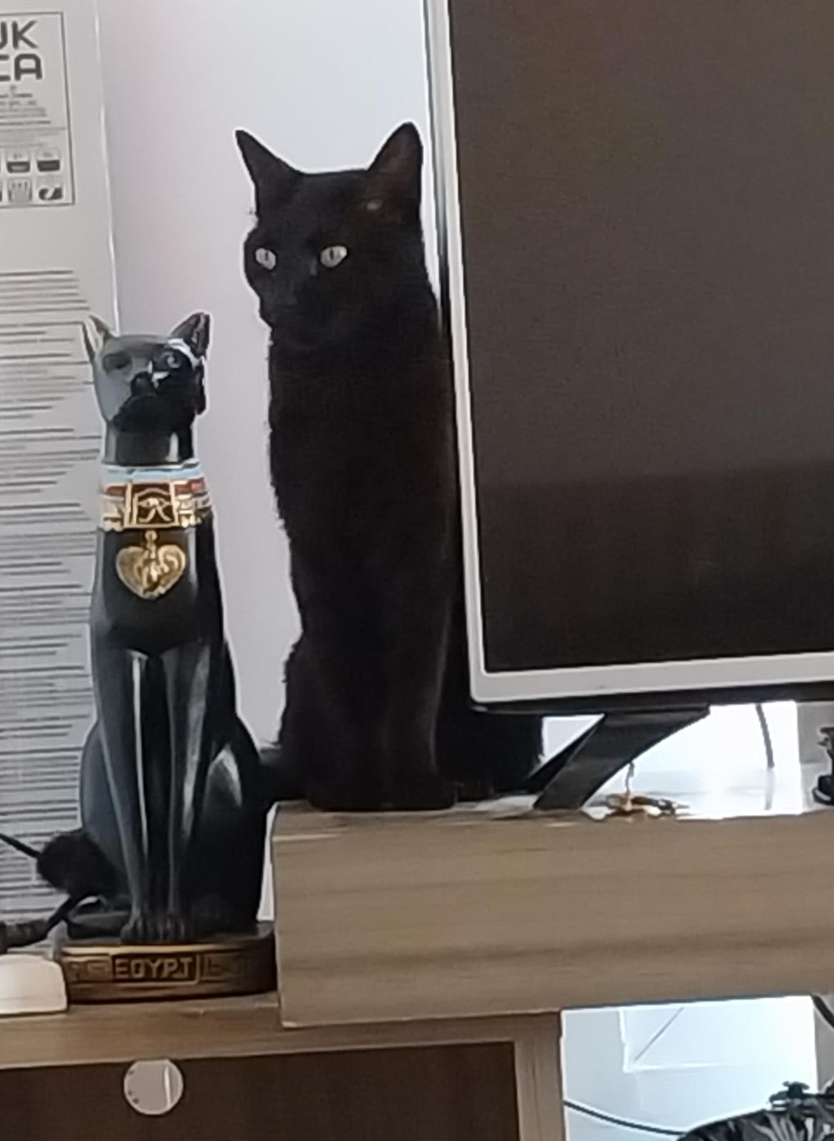Negra